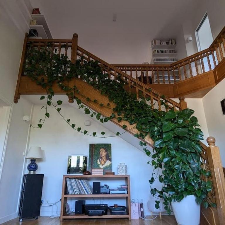 Duplex familial et confortable proche Zénith - Appartement en Duplex - 23