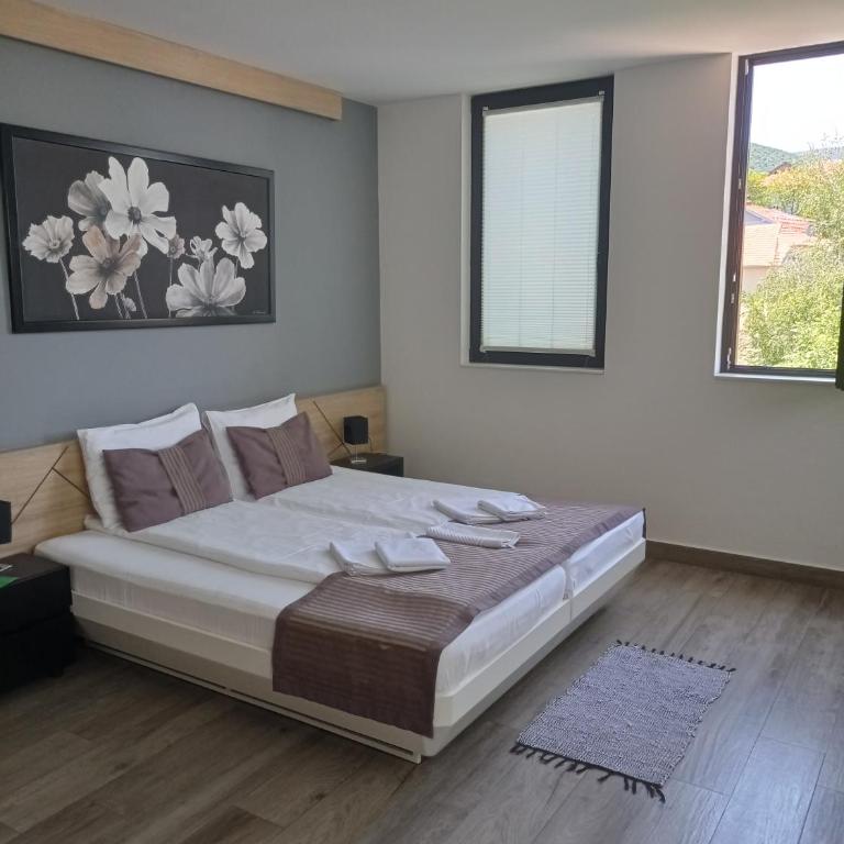 B&B Nataly 2 - Executive Apartman - 3