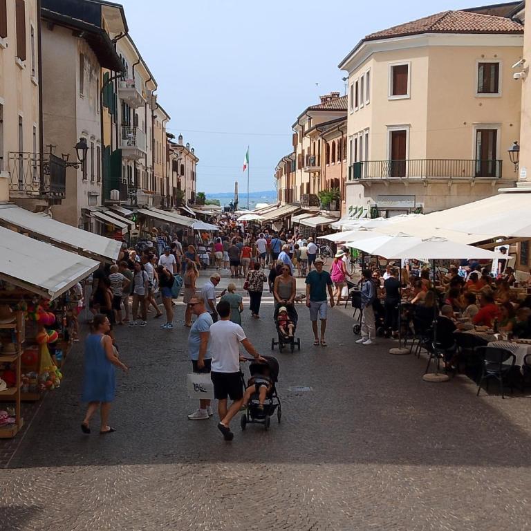 Monolocale - Appartamento - 53
