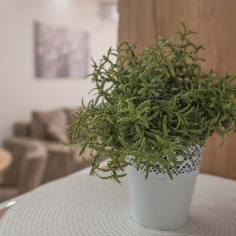 Apartman Sole - Apartman - 23