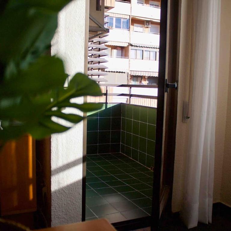 Lovely 3-Bedroom Apartment 15 Minutes from Beach - Three-Bedroom Apartment - 17