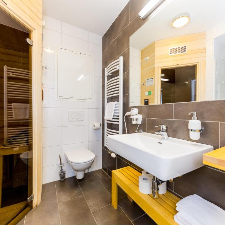 Sissi Park Haus im Ennstal - Schladming - Studio - 5