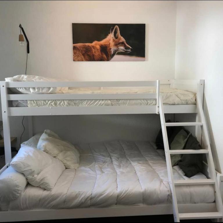 Appartement à 20m des pistes, avec piscine et sauna - Apartamento de 1 dormitorio - 17