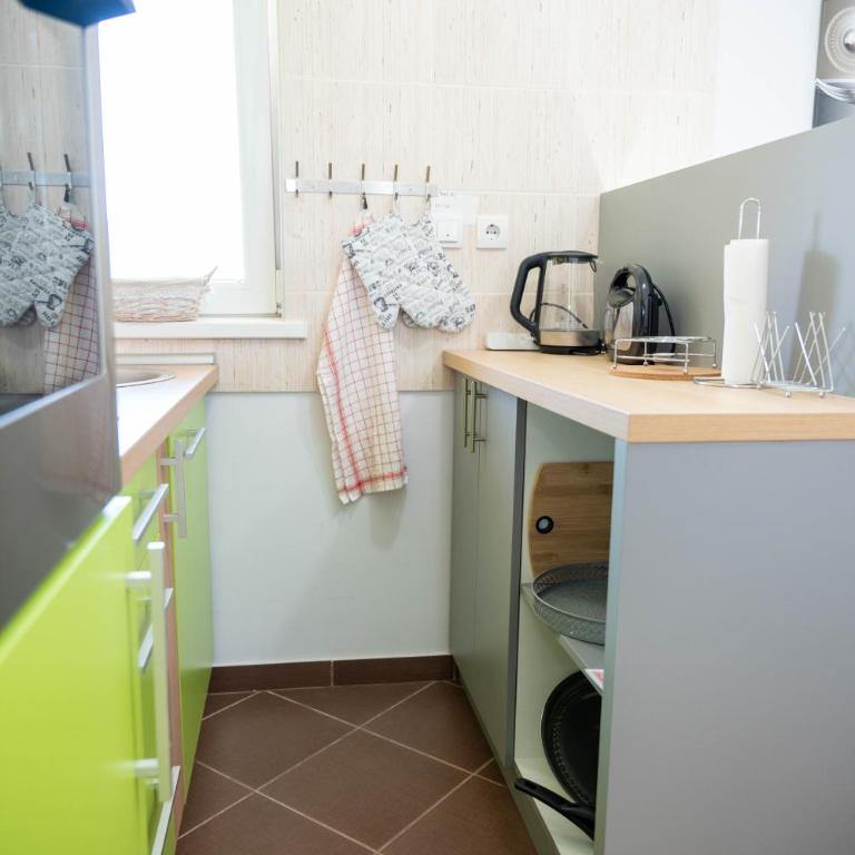 Flowers Oasis Studio Vrnjačka Banja - Studio Apartman s Balkonom - 7