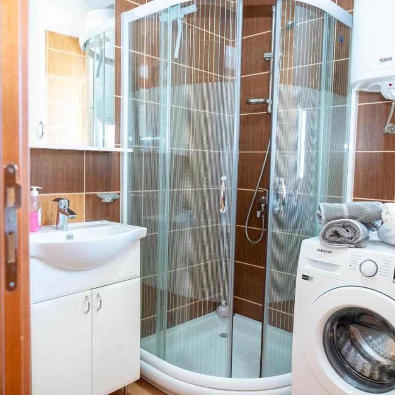 Flowers Oasis Studio Vrnjačka Banja - Studio Apartman s Balkonom - 8