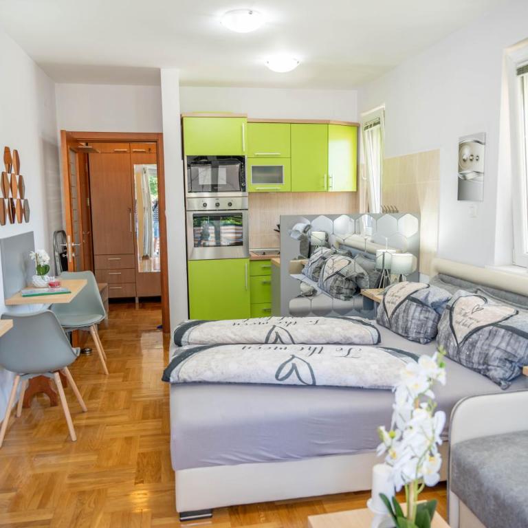 Flowers Oasis Studio Vrnjačka Banja - Studio Apartman s Balkonom - 9