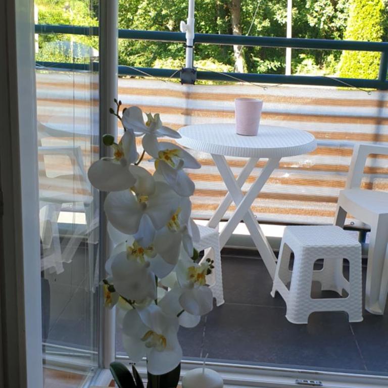 Flowers Oasis Studio Vrnjačka Banja - Studio Apartman s Balkonom - 15