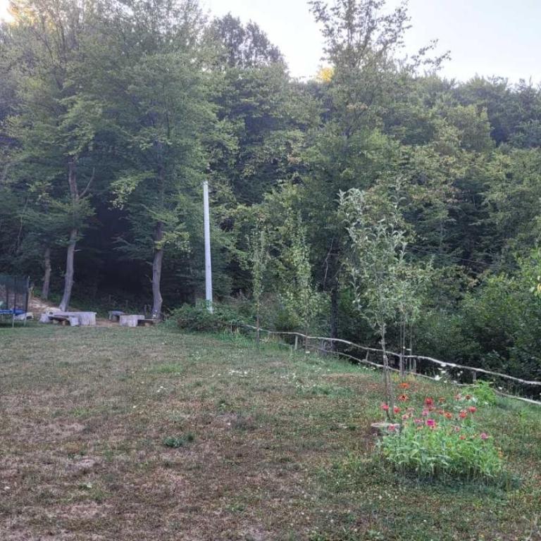 Vikendica Zenik Rakovica - Kuća sa 3 Spavaće Sobe - 5
