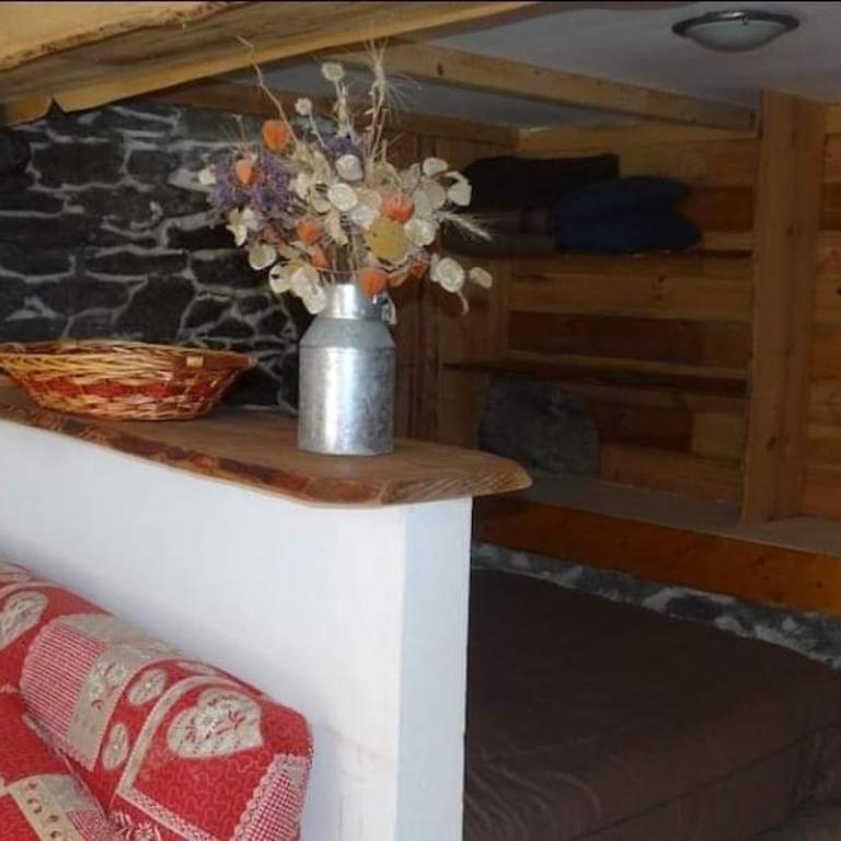 Studio Lagopède - Appartement 1 Chambre - 3