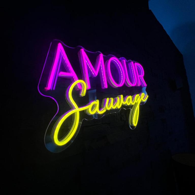 Amour Sauvage-Love Room****, Centre-Historique - Appartement 1 Chambre - 1