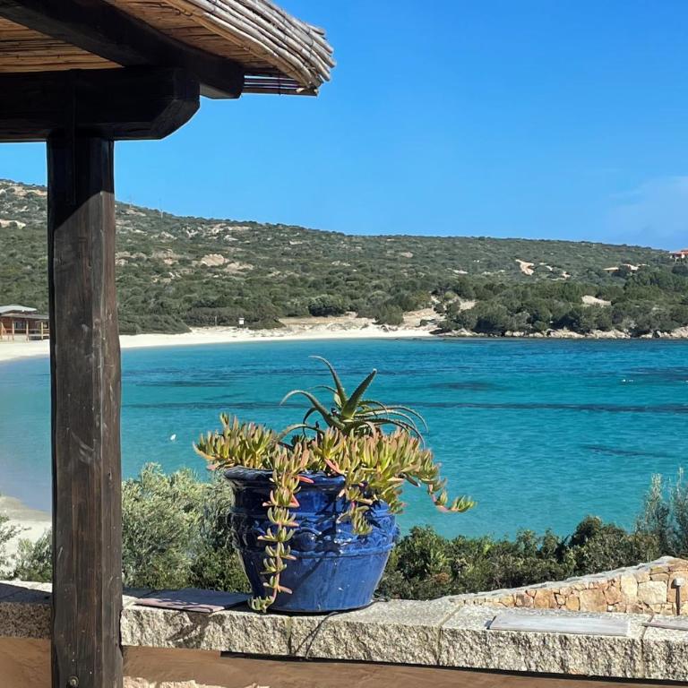 Sandy Cove Patio Villa sul Mare - Villa Fronte Spiaggia - 6