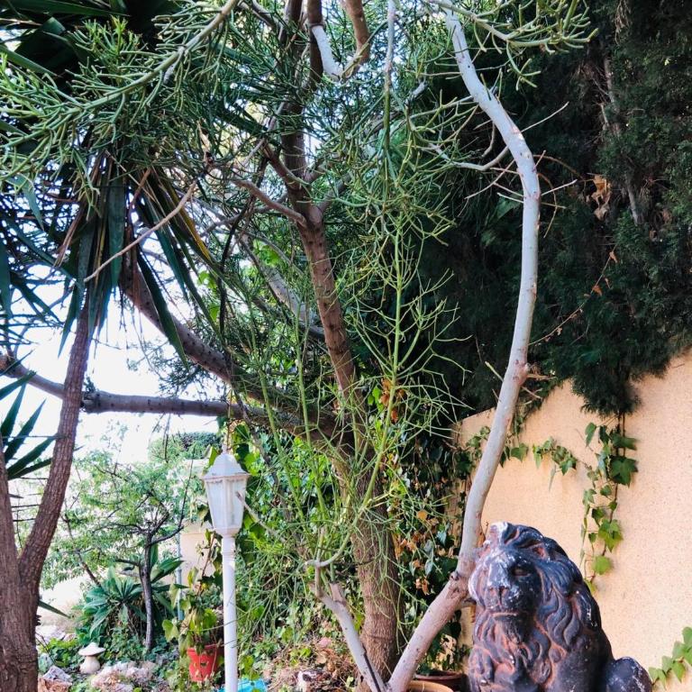 Casa Jardín SevillaMia in Orihuela Costa - Casa de 2 dormitorios - 24