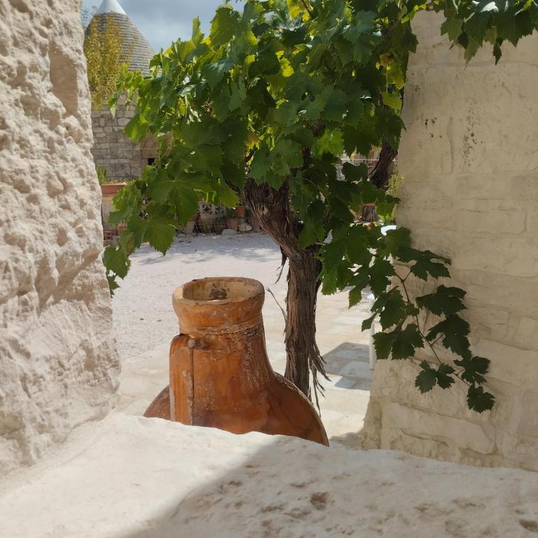Borgo San Francesco - Casa Vacanze - 17