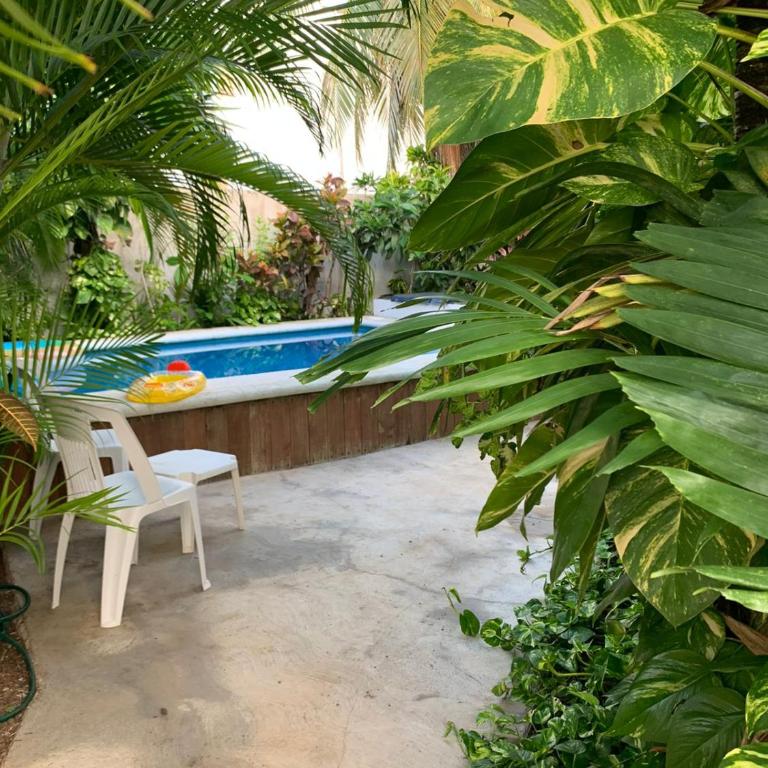 Casa Nona Rosa - Apartamento Estudio - 43