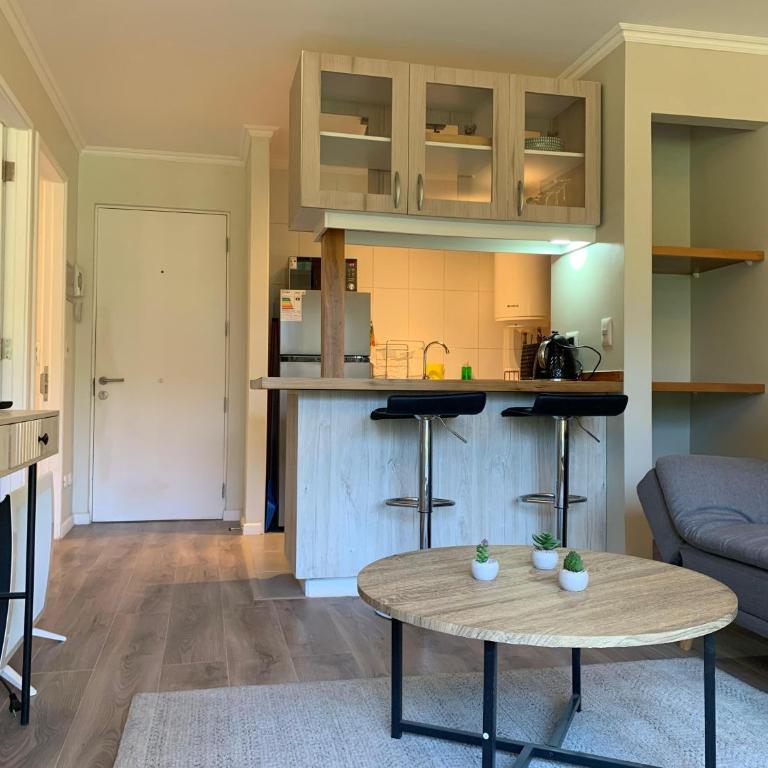 Departamento cercano al Volcan y Centro de Pucon - Deluxe One-Bedroom Apartment - 1
