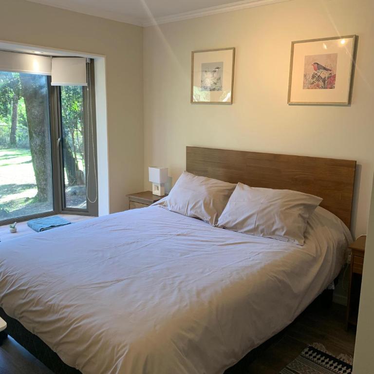 Departamento cercano al Volcan y Centro de Pucon - Deluxe One-Bedroom Apartment - 4