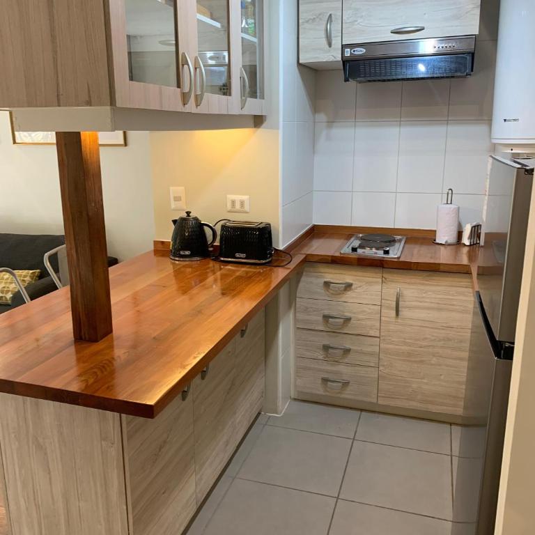 Departamento cercano al Volcan y Centro de Pucon - Deluxe One-Bedroom Apartment with Garden View - 1