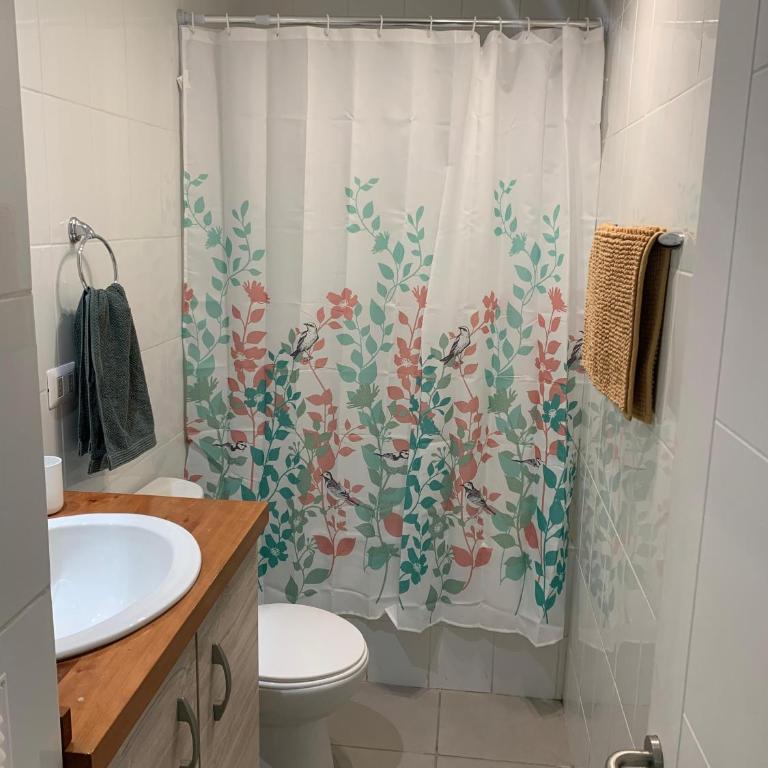 Departamento cercano al Volcan y Centro de Pucon - Deluxe One-Bedroom Apartment with Garden View - 4