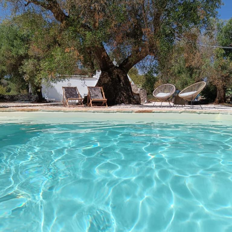Trullo Terracielo - Villa con 1 Camera da Letto - 1