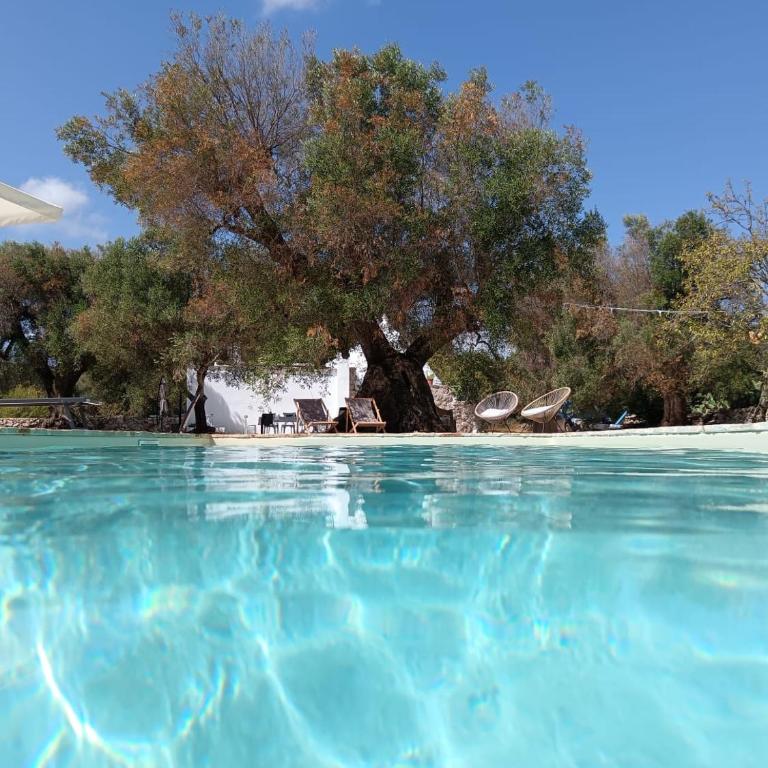 Trullo Terracielo - Villa con 1 Camera da Letto - 11