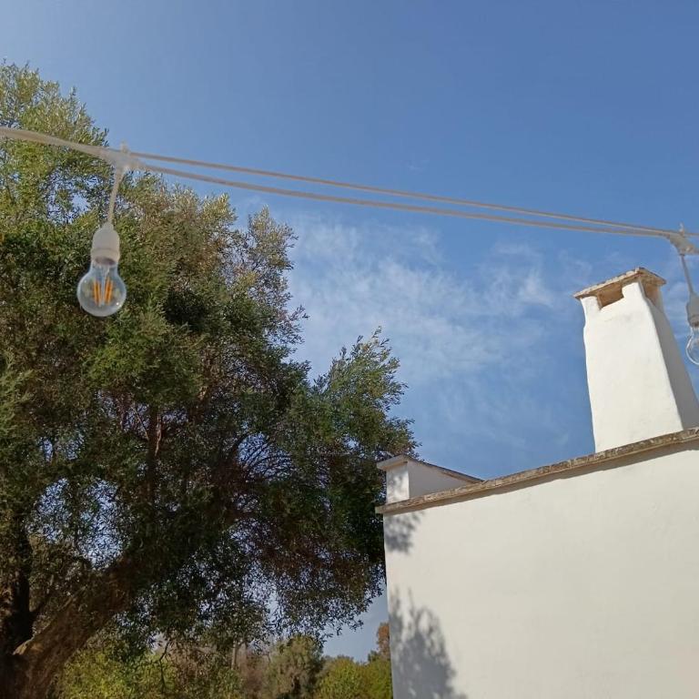 Trullo Terracielo - Villa con 1 Camera da Letto - 24
