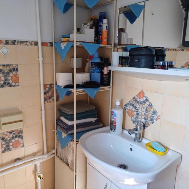 Jankovići Ravni Zlatibor - Three-Bedroom Apartment - 19