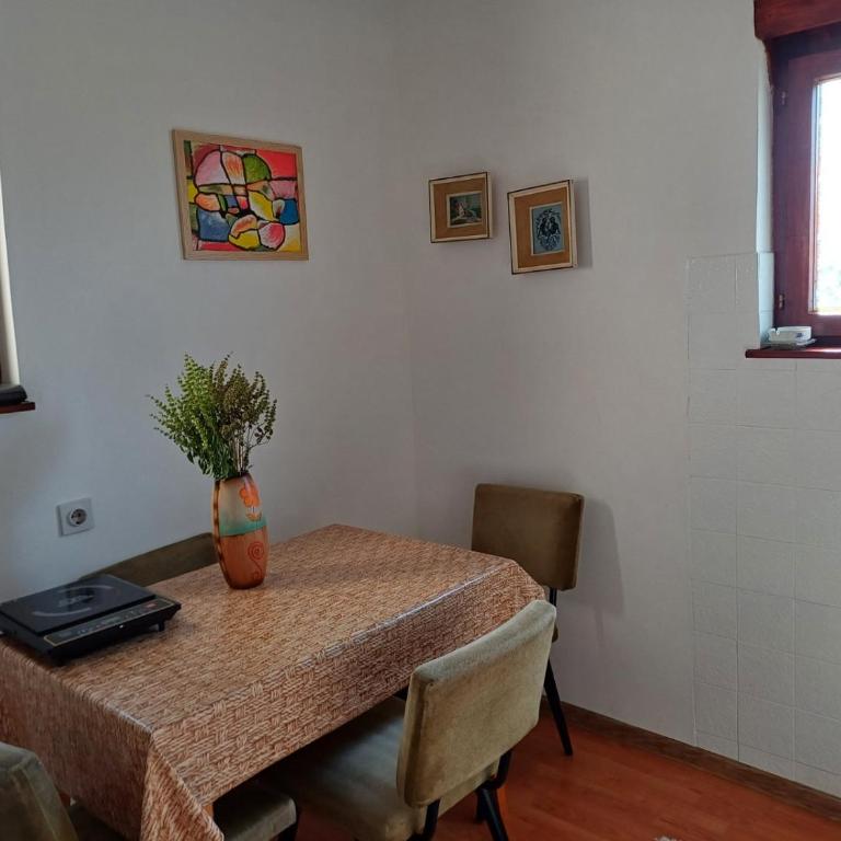 Jankovići Ravni Zlatibor - Three-Bedroom Apartment - 18