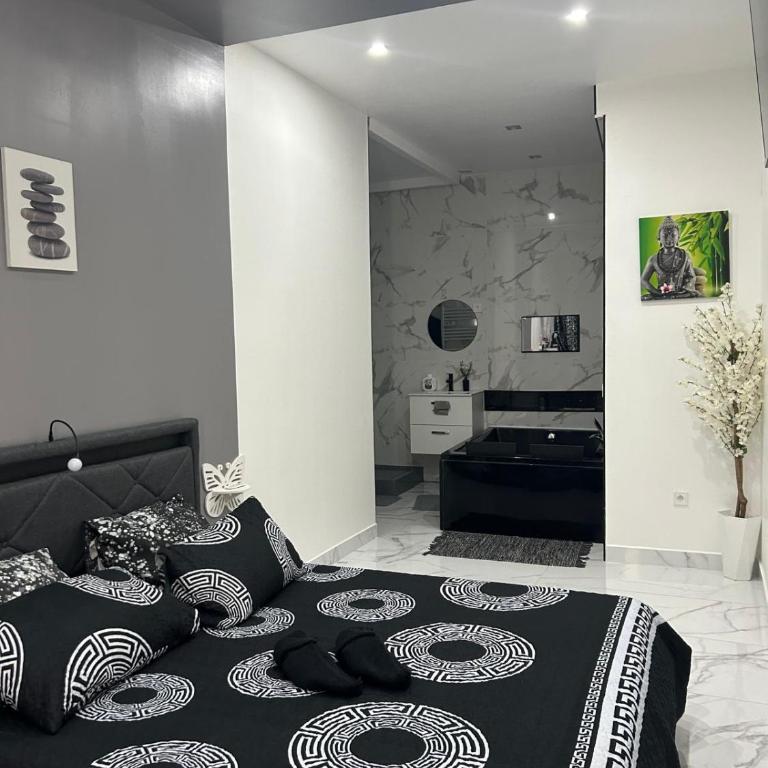 Suite Zen L Amaryllis Jacuzzi TV Integrée Clim Wifi Béziers Centre Arrivée Autonome 24h24 - Appartement - Rez-de-Chaussée - 6