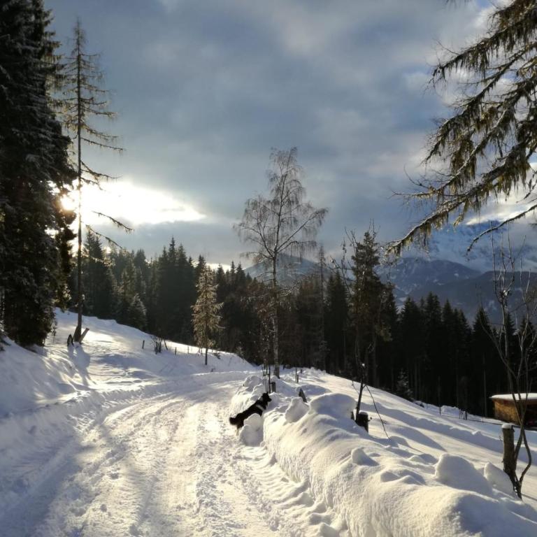 Panorama Chalet Höllmaishof - Chalet mit 2 Schlafzimmern - 44
