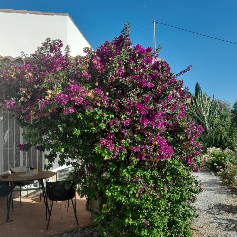 Casa los Limones Torrox - Casa con 1 dormitorio - 14