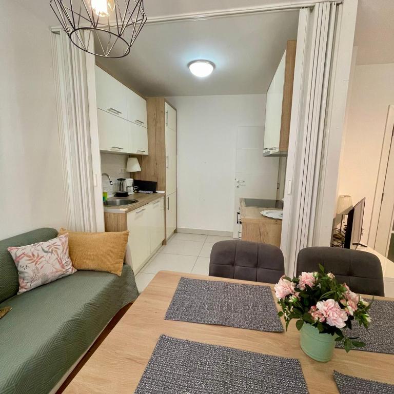 Tiara Vracar Apartment - Apartman sa 1 Spavaćom Sobom - 8