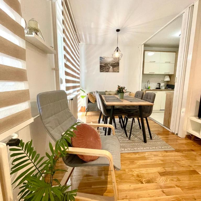 Tiara Vracar Apartment - Apartman sa 1 Spavaćom Sobom - 5