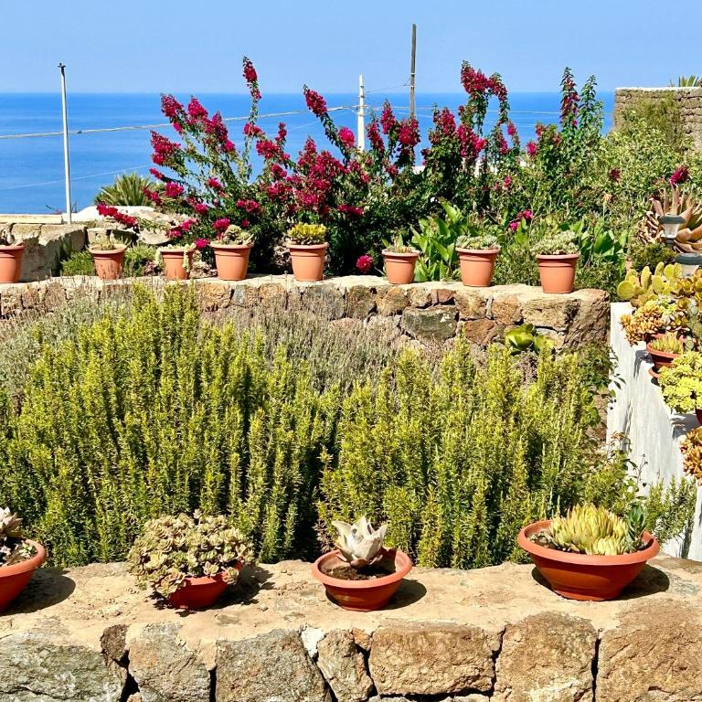 Dammuso Pantelleria - Fiori D'Ossidiana - Apartment mit 1 Schlafzimmer - 16