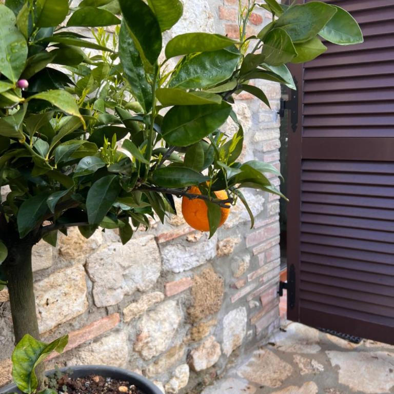 Bed & Breakfast Casale Gregoriano - Camera King - 11