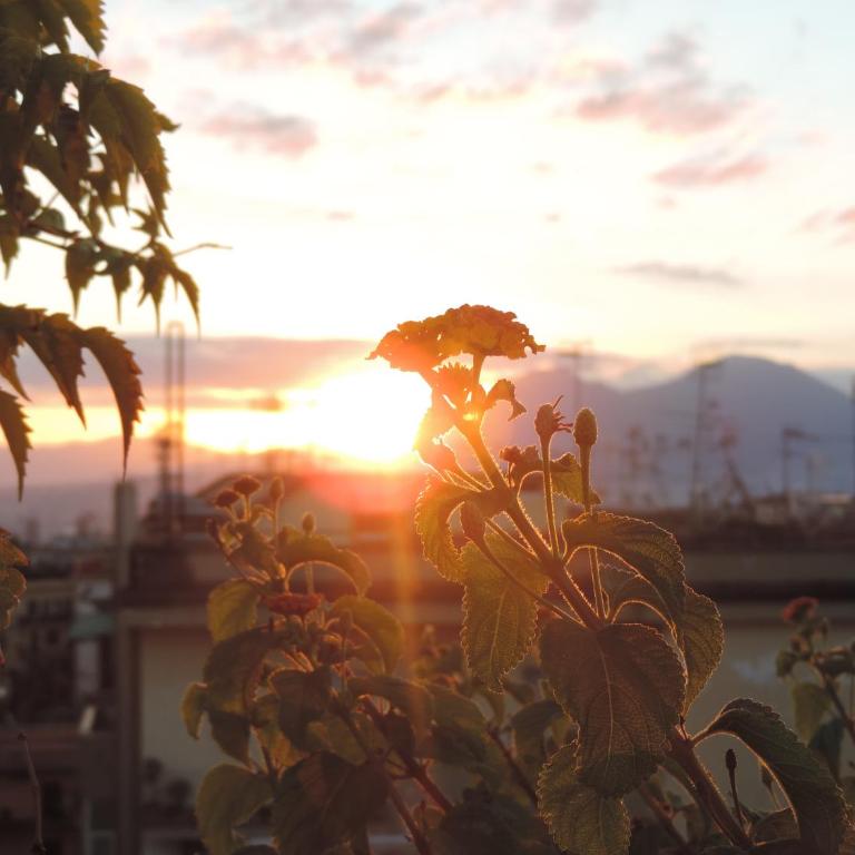 Sinfonia di Napoli - Appartamento con 1 Camera da Letto e Terrazza - 68