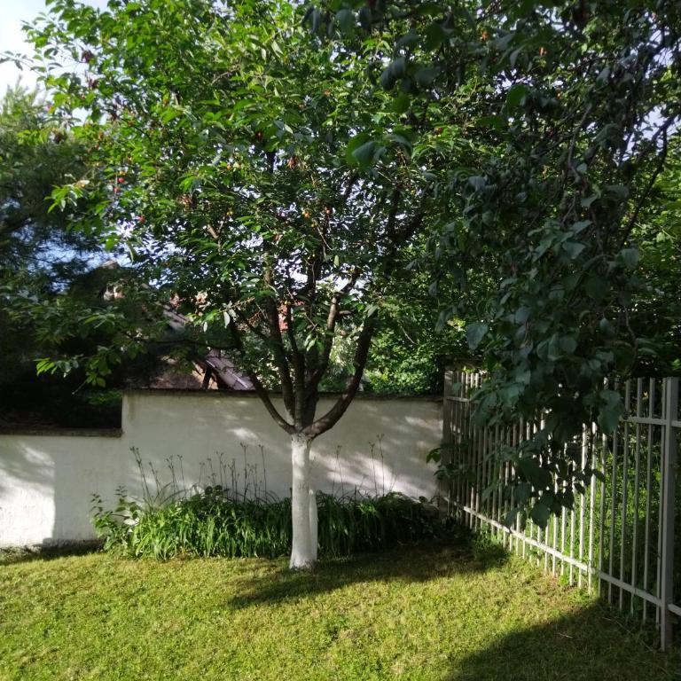 Apartman Sarajevo 202 - Apartman - 18