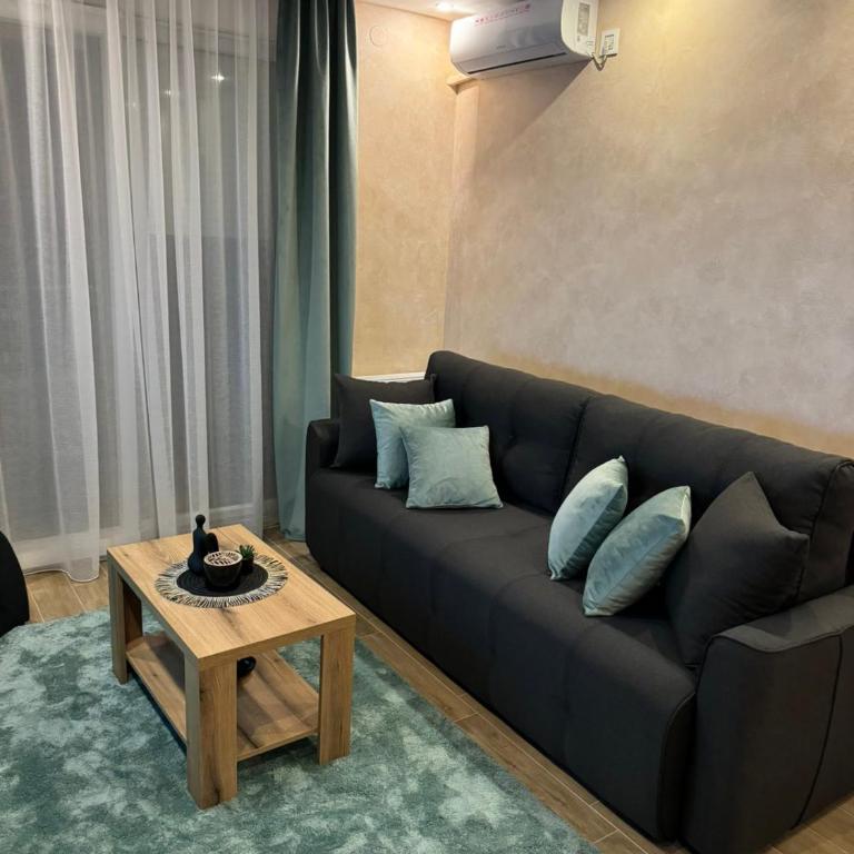 Apartmani Tesic - Apartman sa 1 Spavaćom Sobom - 12