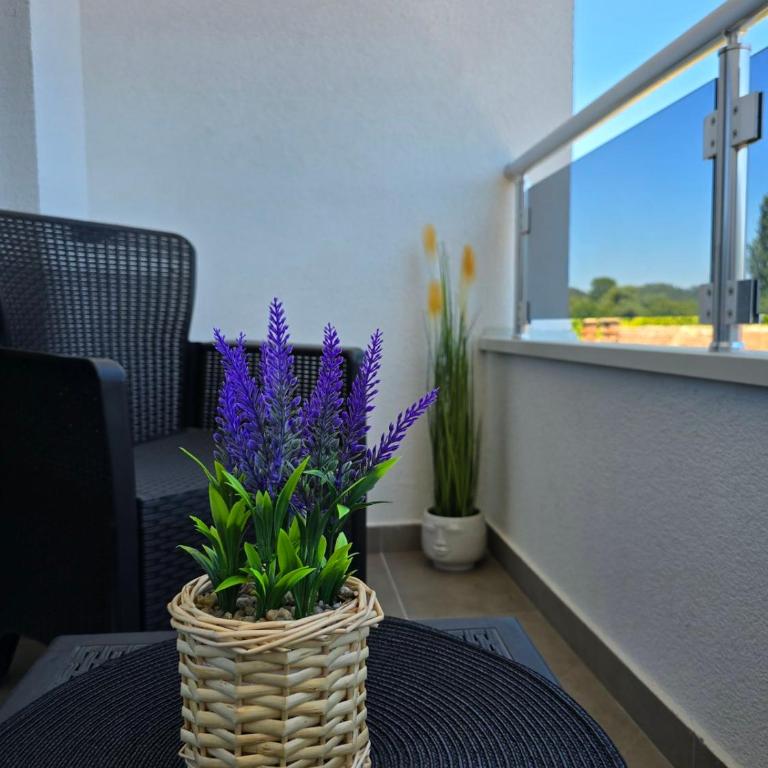 Apartmani Tesic - Apartman sa 1 Spavaćom Sobom - 15