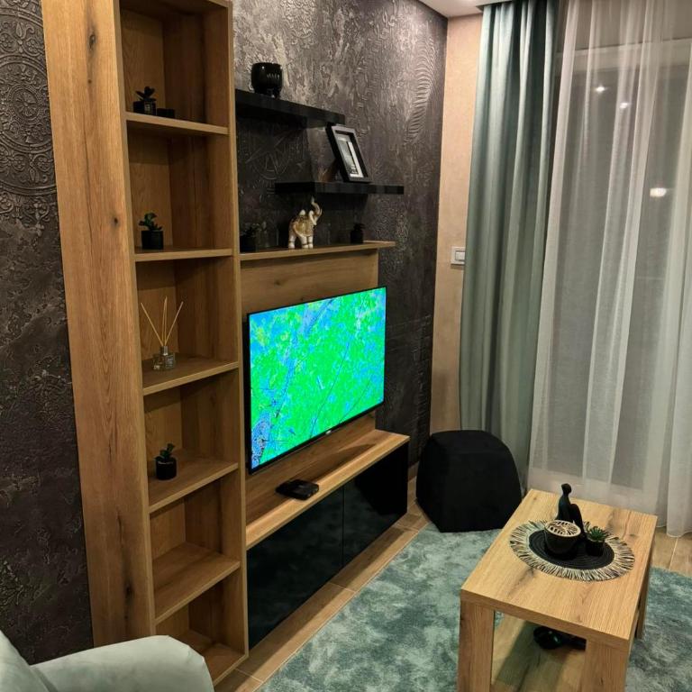 Apartmani Tesic - Apartman sa 1 Spavaćom Sobom - 16