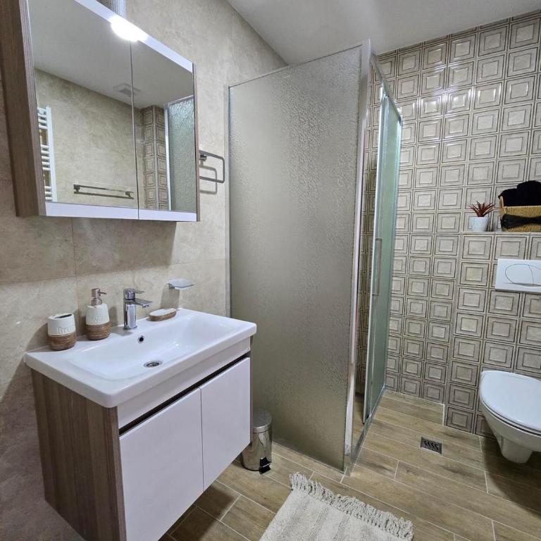 Apartmani Tesic - Apartman sa 1 Spavaćom Sobom - 24