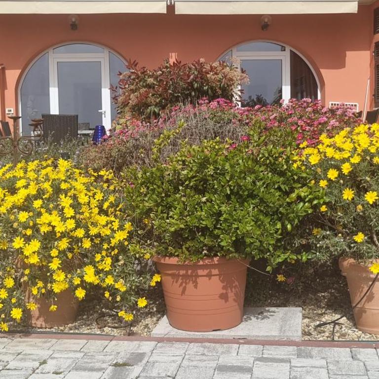Agriturismo La Tuffatrice - Appartamento con 1 Camera da Letto - 22