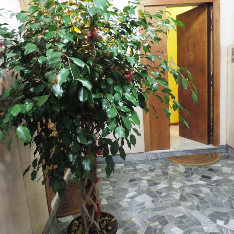 Sinfonia di Napoli - Appartamento con 1 Camera da Letto e Terrazza - 6