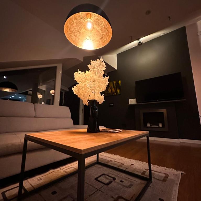 Penthouse Sarajevo - Apartman sa Terasom - 65