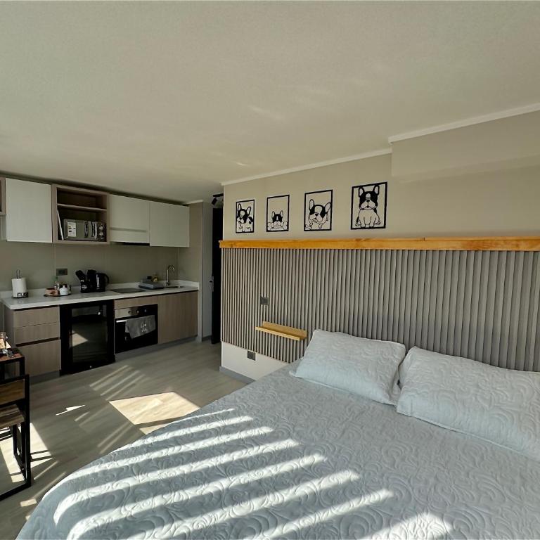 Departamento Santiago - Apartamento de 1 dormitorio - 1