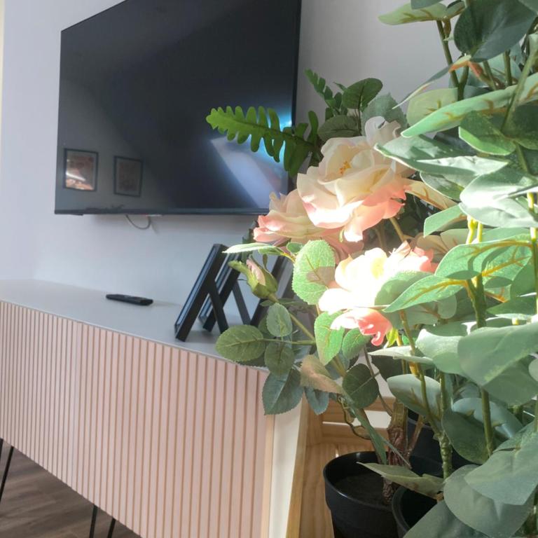 Villa Valentina Rúa - Apartamento de 2 dormitorios - 18