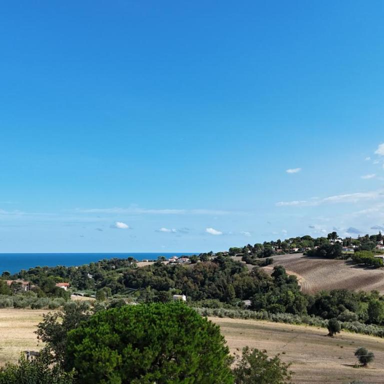 S214 - Sirolo, trilocale con giardino in zona tranquilla - Appartamento con 2 Camere da Letto - 17