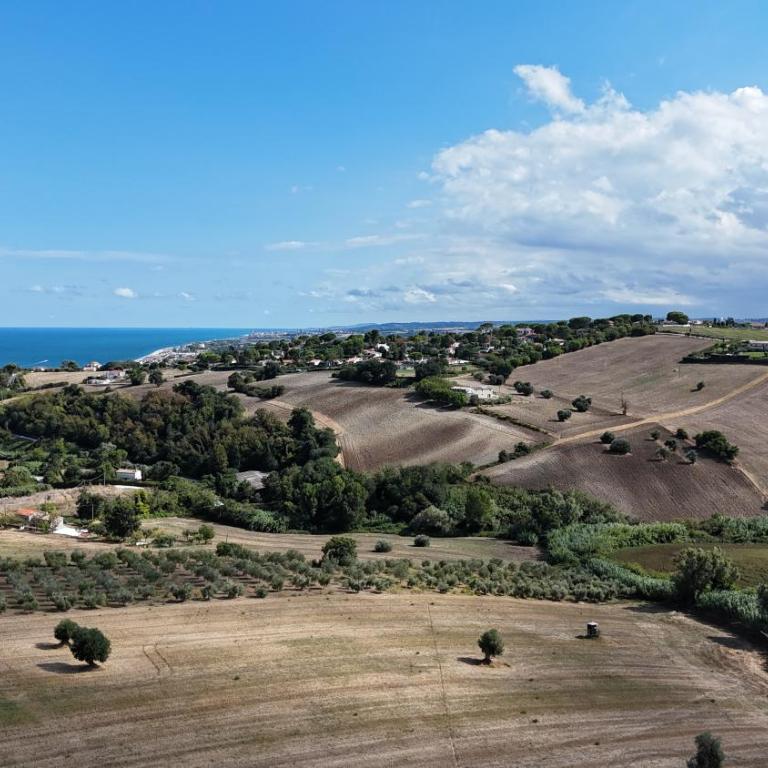 S214 - Sirolo, trilocale con giardino in zona tranquilla - Appartamento con 2 Camere da Letto - 18