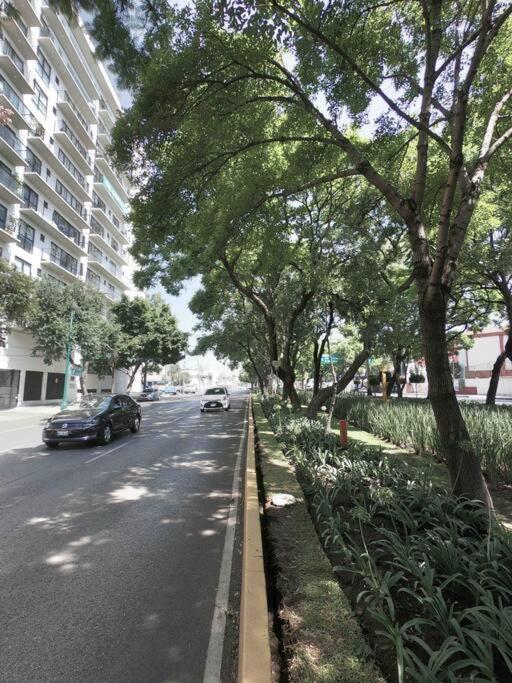 Panoramic departament Mexico cty - Two-Bedroom Apartment - 8