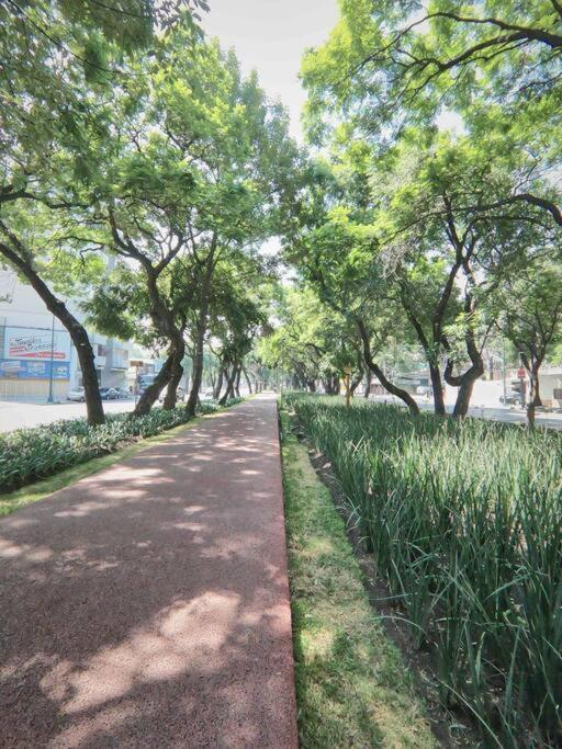 Panoramic departament Mexico cty - Two-Bedroom Apartment - 50