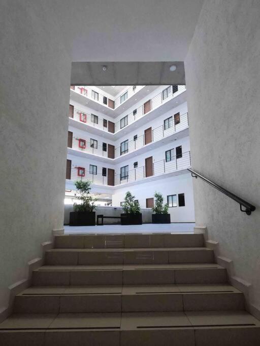 Panoramic departament Mexico cty - Two-Bedroom Apartment - 79